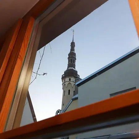 Cozy Historical Flat In The Heart Of Old Town * טאלין