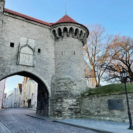 Cozy Historical Flat In The Heart Of Old Town דירה *