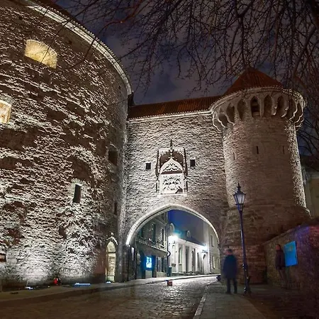 Cozy Historical Flat In The Heart Of Old Town Apartamento Tallin