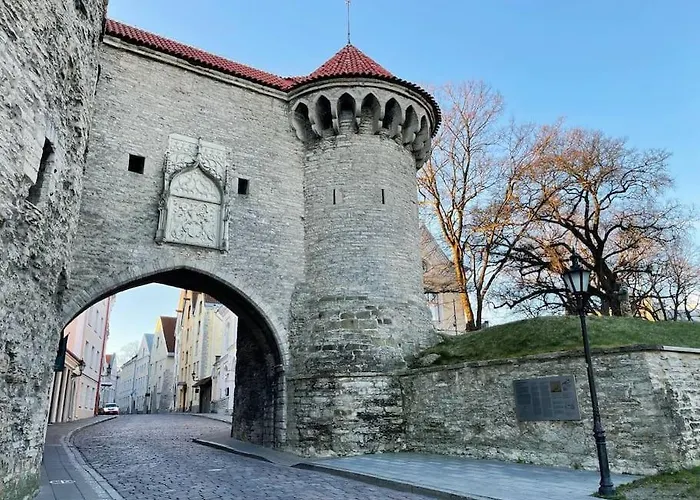 Cozy Historical Flat In The Heart Of Old Town Lägenhet *